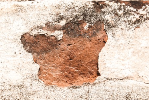 shutterstock_228611815